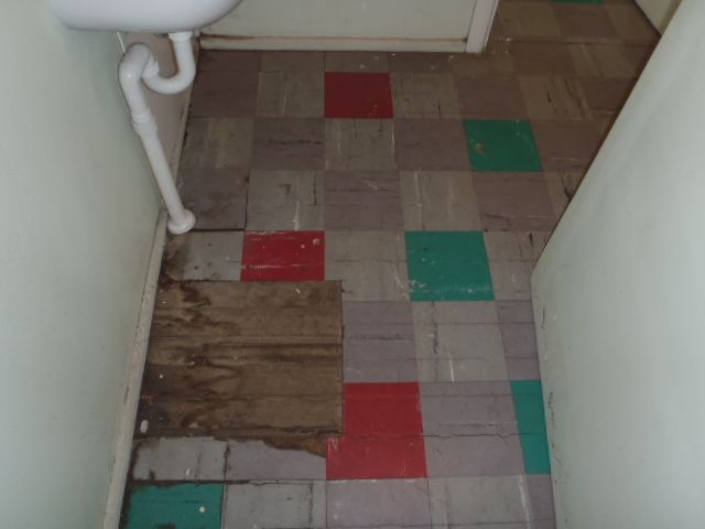 During an asbestos inspection all colours of asbetos floor tiles shoudl be tested